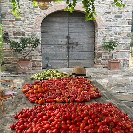 Il Fienile Di Bisarno Villa Pontassieve