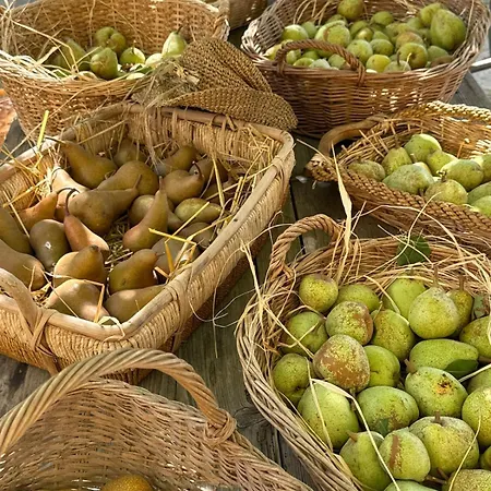 Il Fienile Di Bisarno *